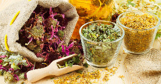 national herbs for prostatitis
