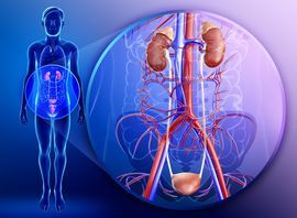 Diseases of the genitourinary system