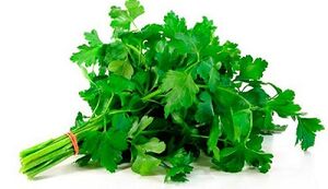parsley for the treatment of prostatitis